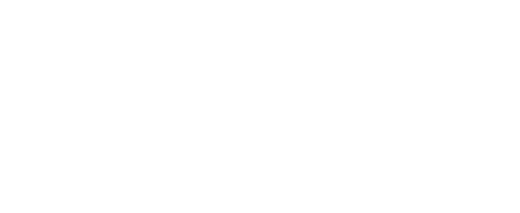 Primaris logo