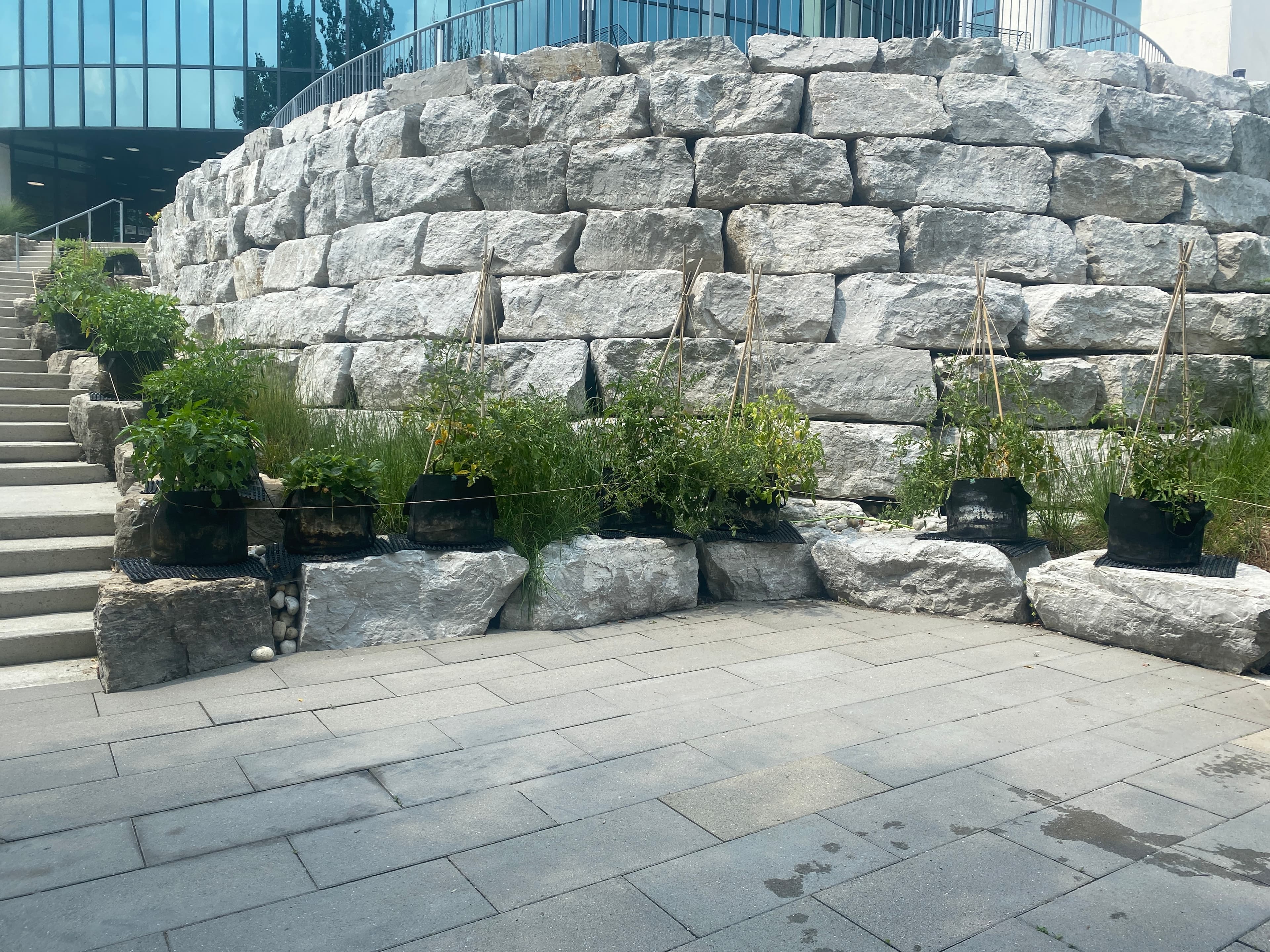 Manulife Waterloo