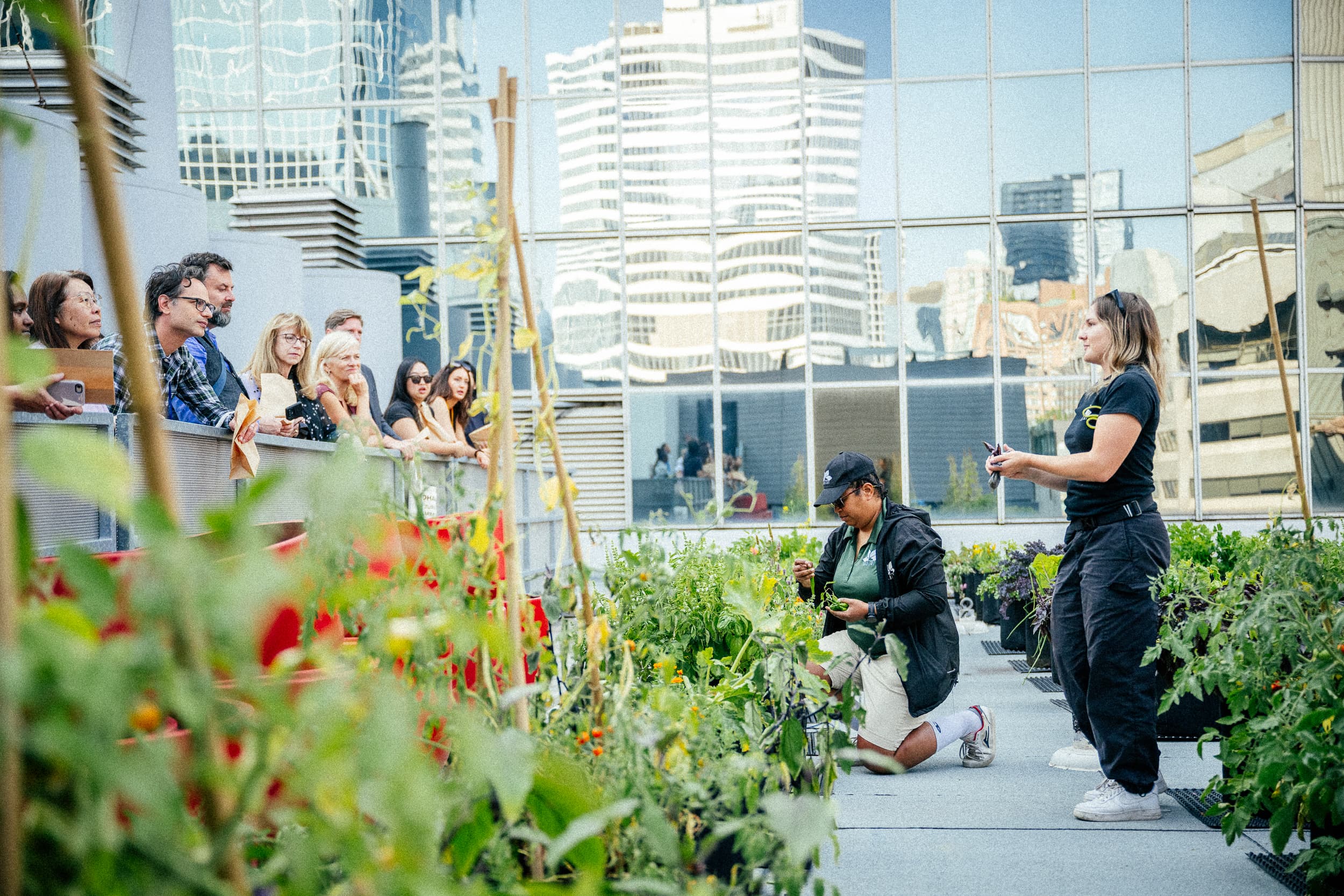 Eaton Centre (Corporate)