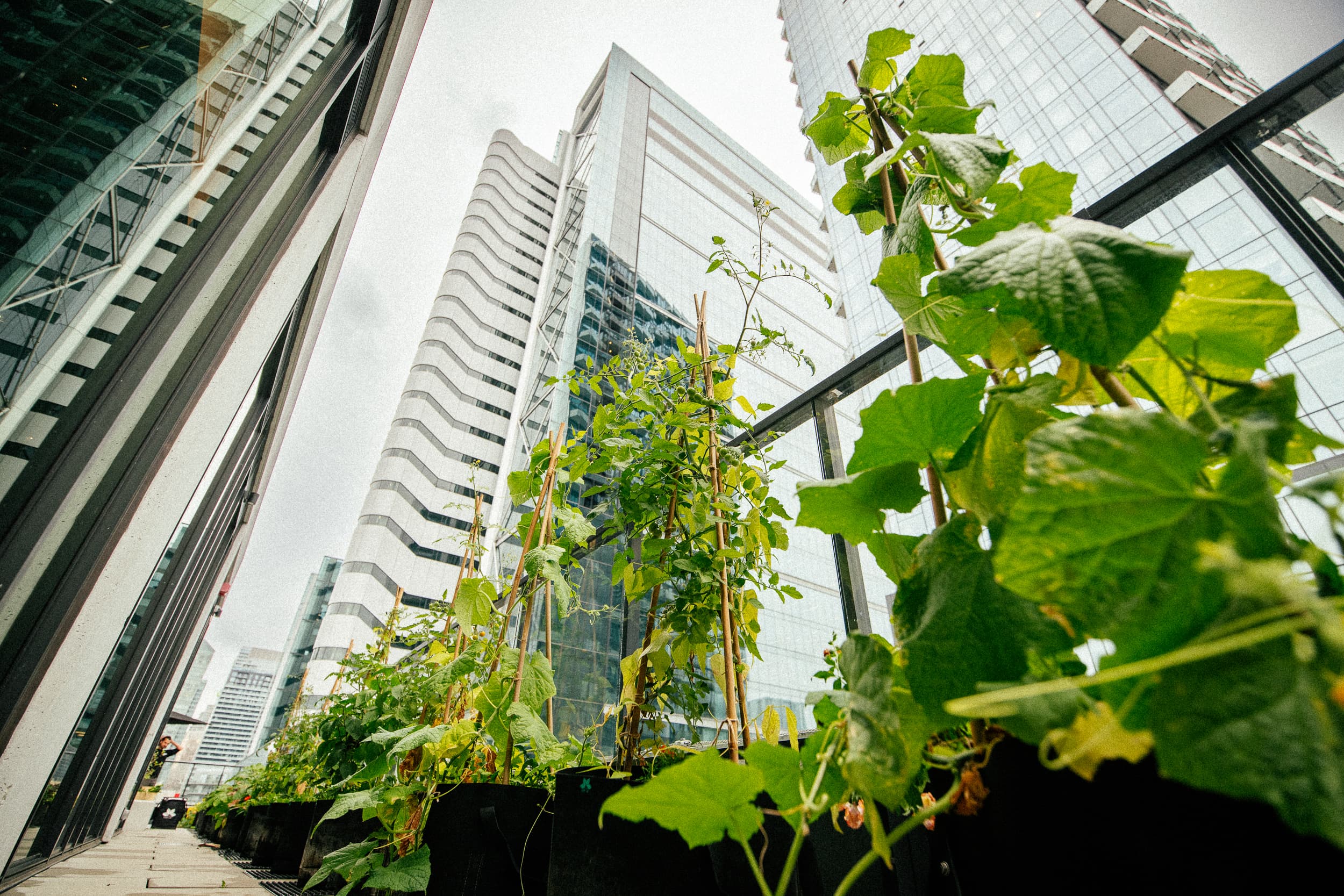 425 Residences at The Well