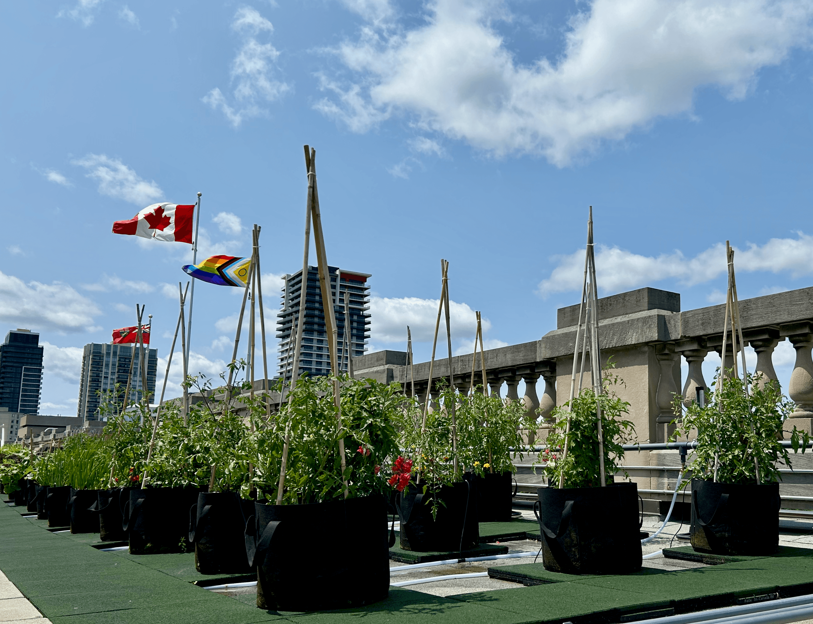 CanadaLife London
