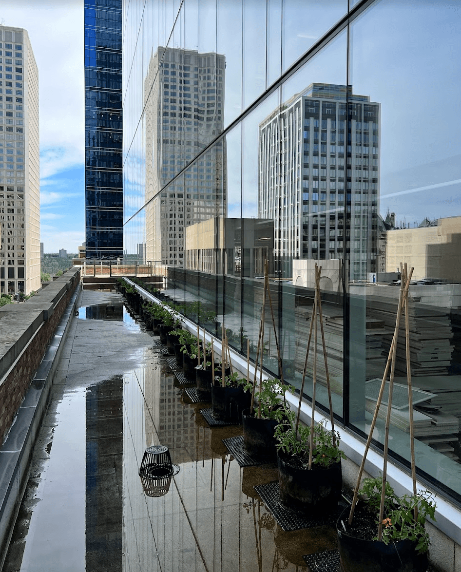 Enbridge Centre