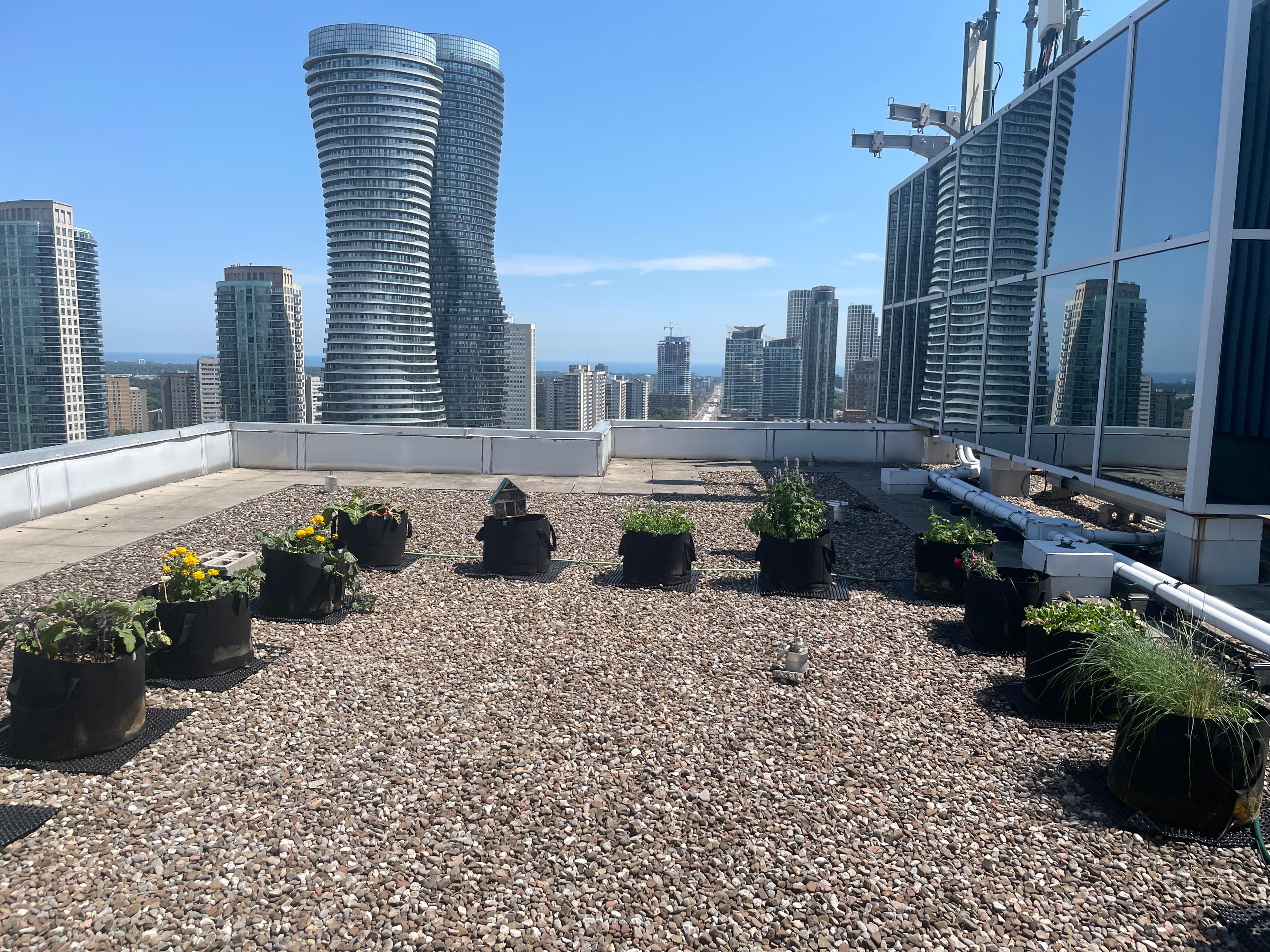 1 City Centre Dr