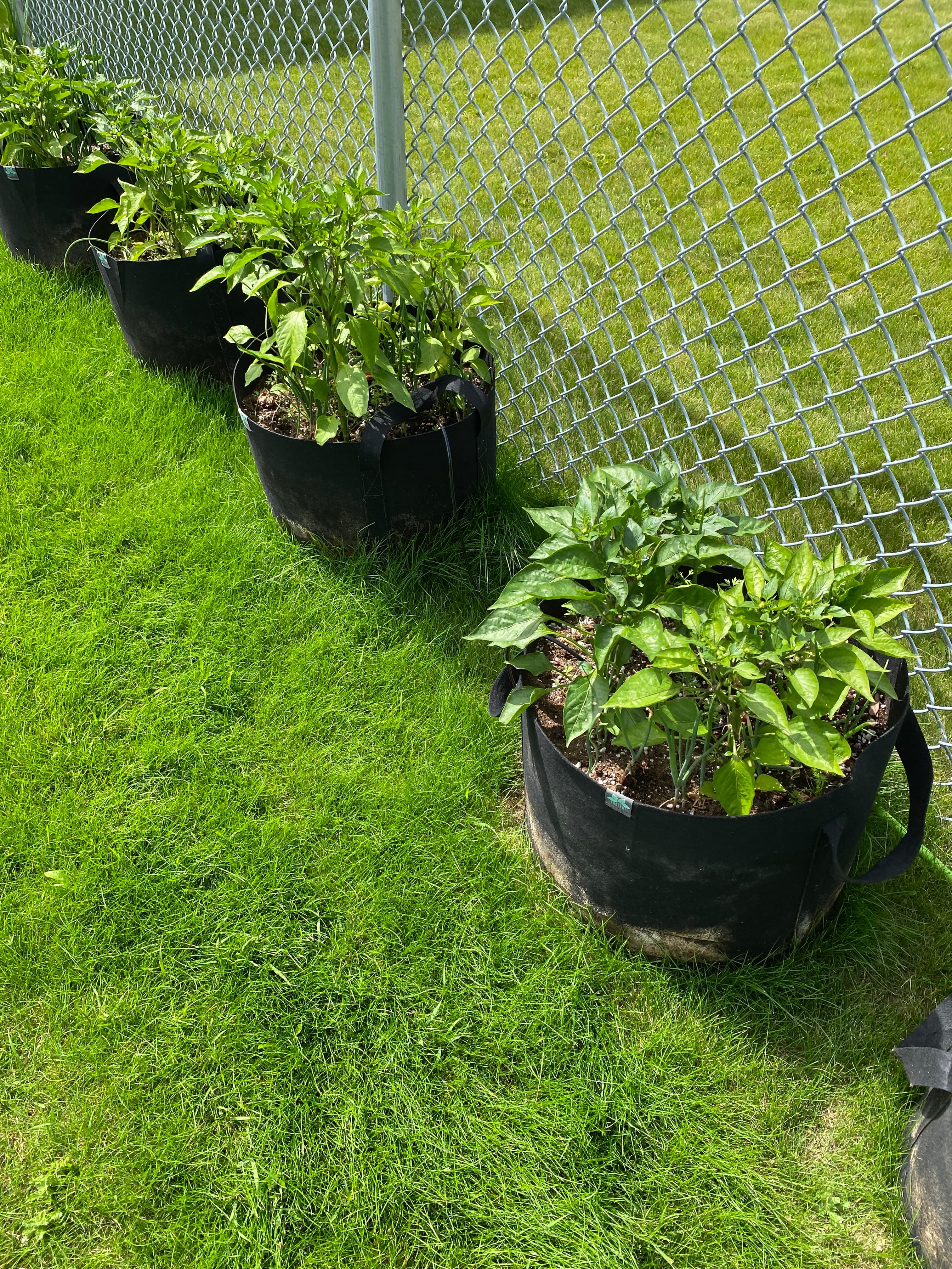 MicroHabitat Staff Farm