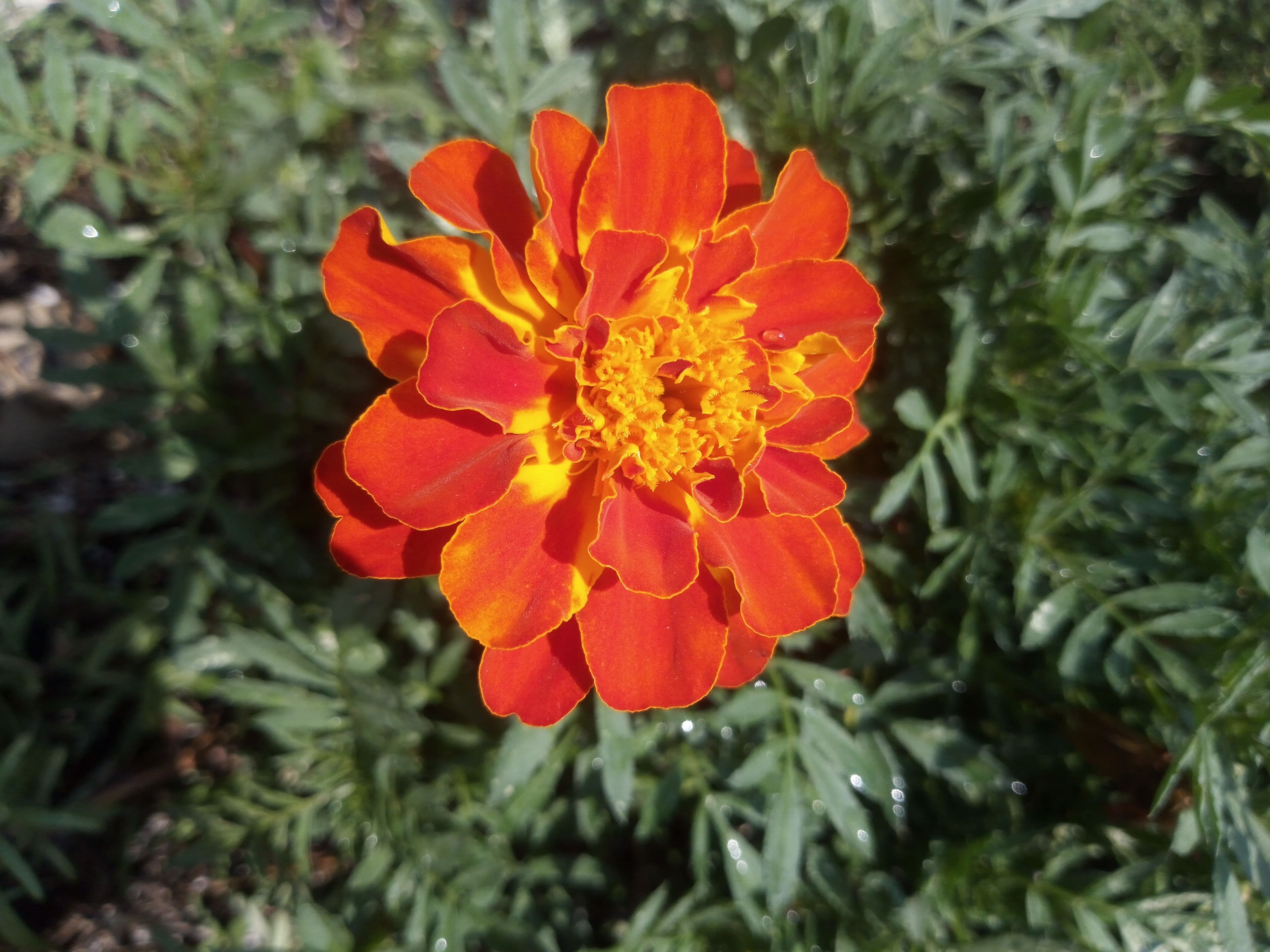 875 15th St NW (Bowen Building)