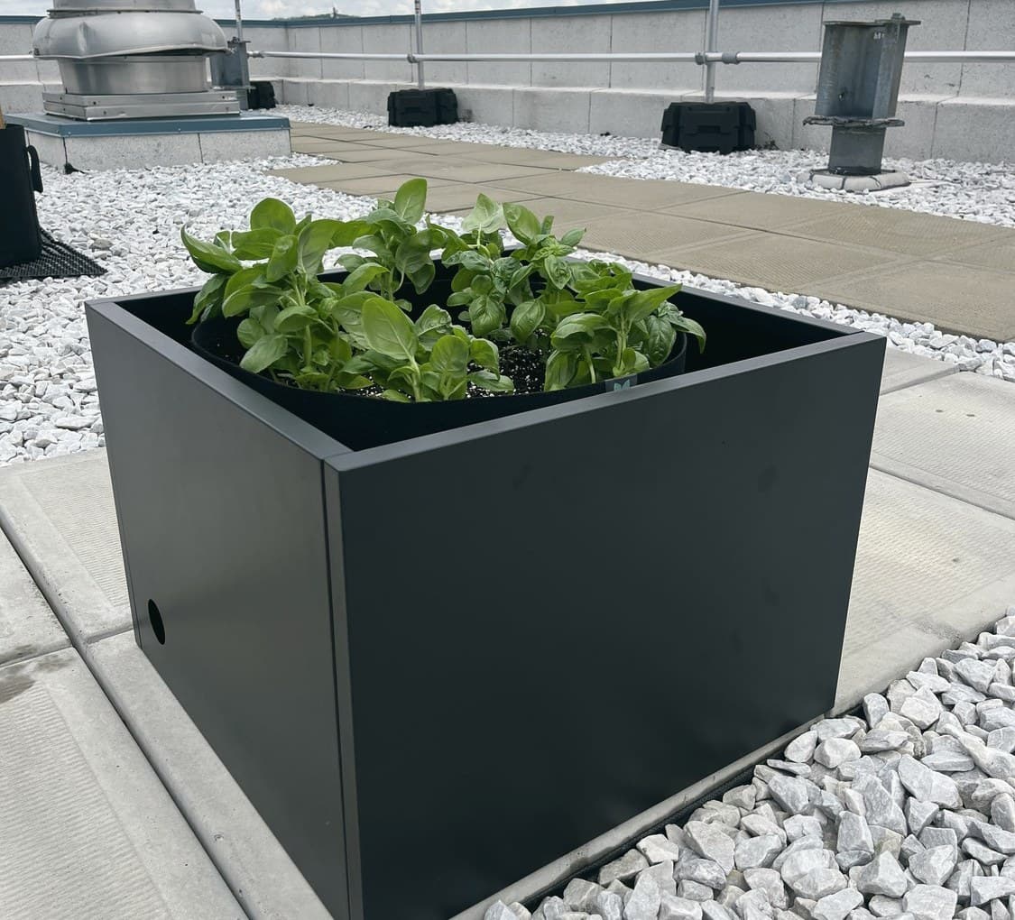 Skyline Terrace Rooftop Farm
